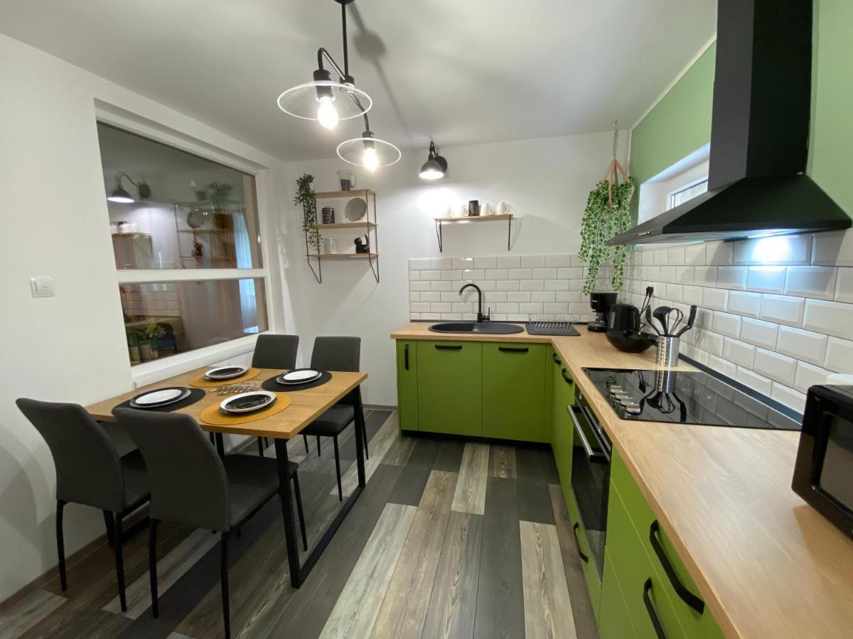 Evergreen Apartment Тимишоара Экстерьер фото