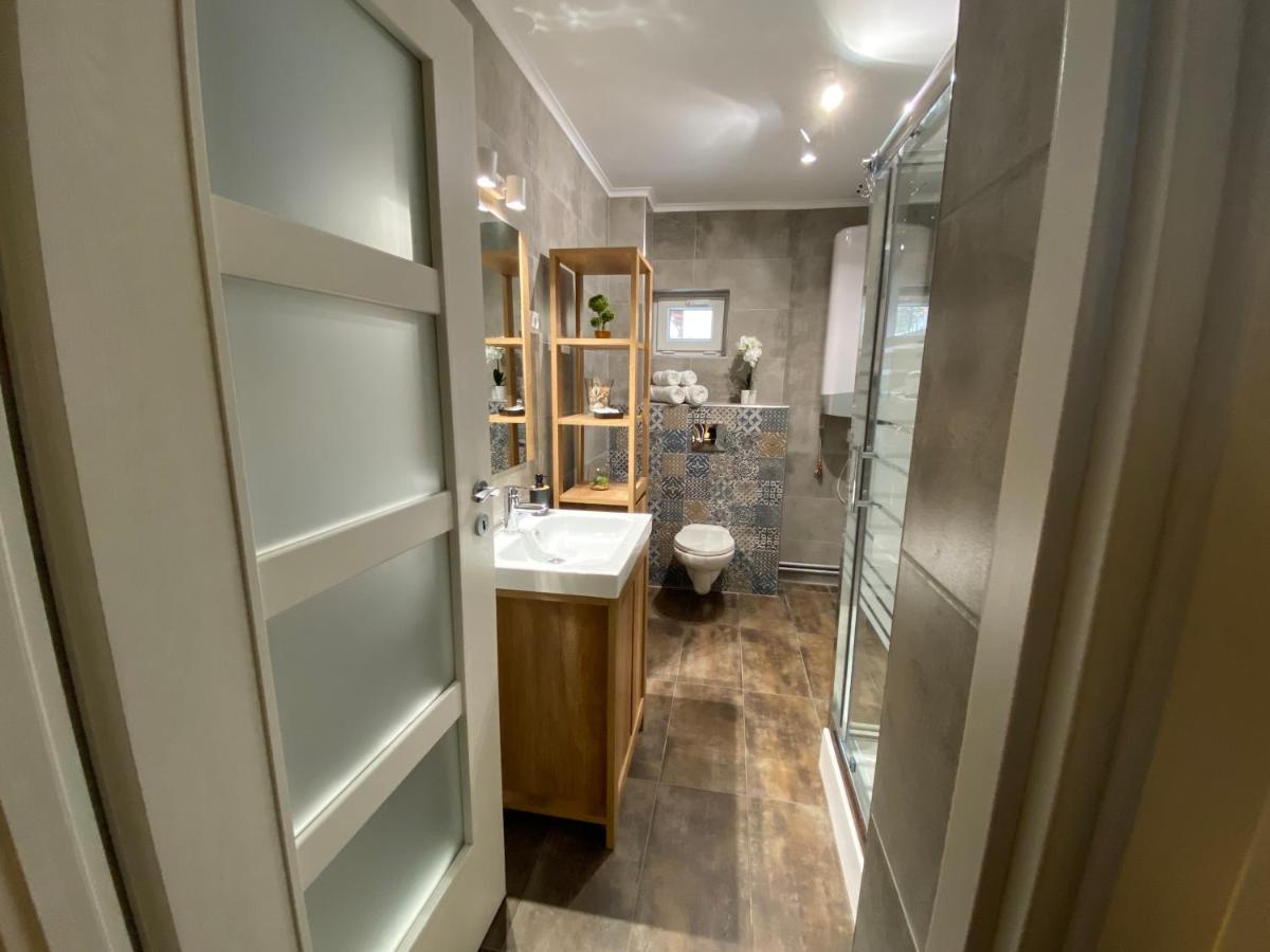 Evergreen Apartment Тимишоара Экстерьер фото